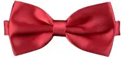 Flairs New York Little Gentleman's Kids Bow Tie Little Bow Tie Only Crimson Red