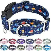 Fidohug Martingale Dog Collars with Buckle No Slip Training Boy Dog Collar for Large Dogs (Blue Space, Large)