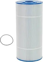 Sparesbarn ZX100 Pool Filter Compatible with Astral ZX100 Filter, Swimming Pool Filter with 1 Seal, Part # 78097