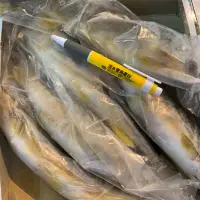 在飛比找蝦皮購物優惠-（活水堂海產）台灣宜蘭特大爆卵母香魚盒裝