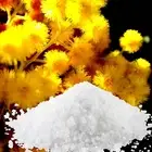 Australian Golden Wattle Bath Salts/Bath Soak Relaxing Aromatherapy Luxury