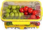 Food Storage Box | Outdoor Food Container Lidded | Entertaining Serving Reusable Kitchen Case with Handle for Dorm Camping Picnic Salad Fruits Dessert