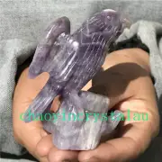0.24LB Natural Dreamy Amethyst parrot Skull Quartz Crystal Carved Reiki XK1417