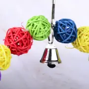 2Pcs Funny Birds Chewing Toy for Parrots Rattan Ball