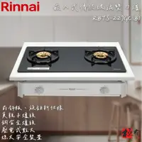 在飛比找蝦皮購物優惠-🔨 實體店面 RINNAI 林內牌 RBTS-227GC(B