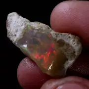 16.00 CTS. Ethiopian BIG Fire Opal Welo Rough AAA+ FIRE Cutting Grade USA DEALER