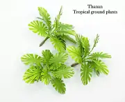 1/35 Scale Jungle plants model set. Approx 6 CM. HEIGHT. 3 plants/1 set. TPV-122