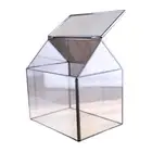 House Shape Geometric Terrarium Box Tabletop Succulent Plant