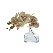 Rogue Artificial Orchid Flower in Glass Vase Phalaenopsis Potted Plant Spotted Green