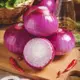 蝦皮生鮮 買菜家 紫洋蔥 600g±10%