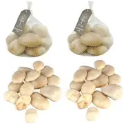 16 KG Garden Stones River White Rock Pebbles For Home Decor Indoor Outdoor Decoration