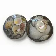 VTG Crab Shells in Natural Coconut Hut 1/2 Size (2) NIB made in Philippines