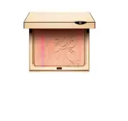 Clarins Palette Eclat Face & Blush Powder *DISCONTINUED*- NEW IN BOX
