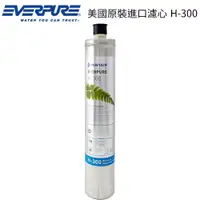 在飛比找蝦皮商城優惠-【EVERPURE】美國原裝進口濾心 H-300 / H30