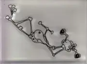 goofy leopard unbranded Wood Mounted Rubber Stamp 2 1/2 x 2" Free Shipping