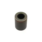 Disc Brake Caliper Piston-R/T Carlson 7859