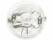 Wagner License Light Bulb fits Ford F550 Super Duty 1999-2010, 2017-2018 73CBZM (for: Ford)