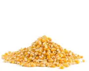 Carnival Extra Large Butterfly Popcorn Kernels,Non-GMO