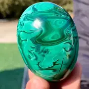 261G Natural glossy Malachite egg transparent cluster crystal mineral sample