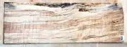 HARD Spalted Curly Maple Wood 1006 Luthier Guitar Billet 23.5x 8x 2