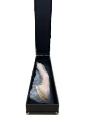 Life/form Nasco Manikin Arm Venipuncture Injection NEW