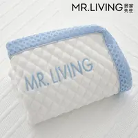 在飛比找momo購物網優惠-【MR. LIVING 居家先生】涼感減壓記憶枕-專用枕套(