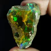 43.00 Cts Ethiopian Opal Large Size Rough Welo Multi Fire Unheated Oil Gemstone