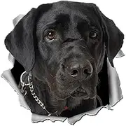XTRAYXRAY Loveable Labrador Dog Sticker 3D Dog Lab Pet Crack Decal Funny Toilet Wall Car Truck Door Sticker (Black)