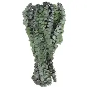40PCS Dried Eucalyptus Stems, 17" Eucalyptus Plant for Shower Hanging, Green