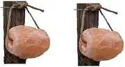 Minrosa Himalayan Mineral Salt Lick On Rope Horse Pony Goat Sheep Cattle 2 x 1Kg