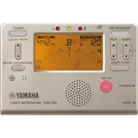 在飛比找蝦皮購物優惠-【老羊樂器店】YAMAHA TDM-700G TDM-700