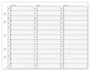 20930 Appt Bk Refill Pages 15 Min 8am-8:45pm 8 1/2 x 11"
