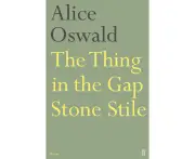 The Thing in the Gap Stone Stile