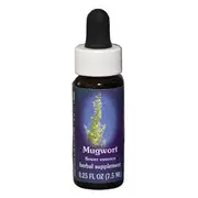 Fes Quintessentials Mugwort 7.5ml