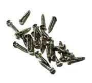 Western Boot | Toe Tip & Heel Guard Nails