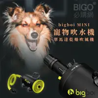 在飛比找蝦皮商城精選優惠-bigboi MINI 寵物單馬達吹風機 低噪音 寵物吹水機