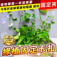 在飛比找蝦皮購物優惠-☆豪麥網☆【牆面固定卡扣】綠植攀爬夾扣 牆壁固定夾 隱形扣夾