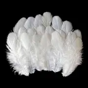 White Craft Rooster Feathers Feathers Bulk 200pcs 3-5inch for DIY Crafts Chri...