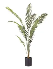 [SOGA] Artificial Foot Fern Tree 210cm in Assorted