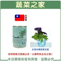 在飛比找momo購物網優惠-【蔬菜之家】iPlant易開罐花卉-勿忘草(最新發明專利設計