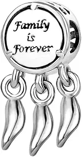 [SBI Jewelry] Dreamcatcher Charm for Bracelets Feather Family Forever Green Tree Life Dangle Women Girls Birthday Mothers Day Compatible with Pandora Charm Bracelet, Leather Metal Cubic Zirconia Copper, No Gemstone
