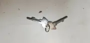 Sam4s Cash register program key("P" KEY) & master key("C" KEY)