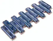 EASTTOP 10hole Harmonica Set T008K-12 Set Mouth Organ in One Case Blue Covers AU