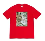 Supreme Bling Tee Heather Red Size Medium SS20T3 T-shirt New With Tags