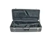 Xtreme Alto Sax Case ABS - Model BWA1014