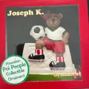 NEW Hawaiian Poi People Keiki Boy Bear Soccer Player Christmas Ornament Hawaii