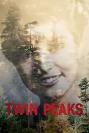 Twin Peaks poster (b) - 11" x 17" - Laura Palmer, Sheryl Lee, David Lynch
