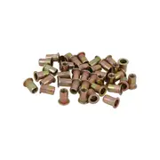 M3 X 100 Nutserts Rivet Nuts Flange Blind Rivnuts Zinc Plated Steel Nut Nutsert