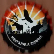 USA Plastic Lined Beer Crown Bottle Cap: Nantahala Brewing