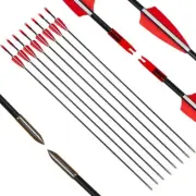 Fiberglass Arrows 31 Inch Diameter 6mm Arrow Feather for Recurve Bow Archery